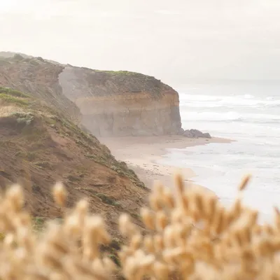 Daniel and Sheridan laughing