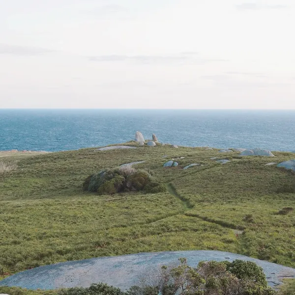 Montague island, with grassy hills and the ocean in the background.